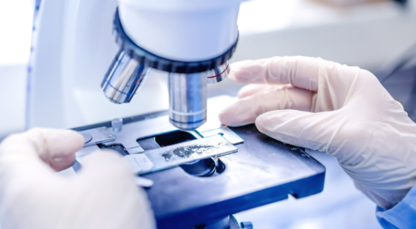  在石家莊如何提高企業宣傳片質量？